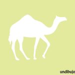 Silueta de un camello para pintar