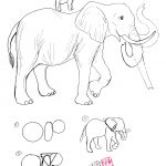 Dibujo de elefante a lapiz para colorear