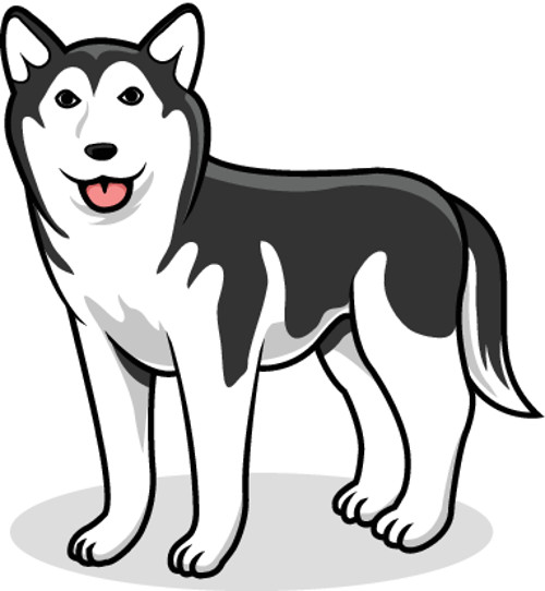  Dibujo de perro Husky siberiano