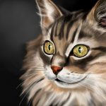Dibujo Retrato de gato de ojos claros