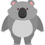 Koala de cuerpo fornido