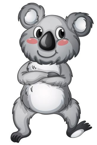Koala divertido aislado en blanco Foto de archivo  58595887  Koala  animado Garabatos de animales Ilustraciones de animales