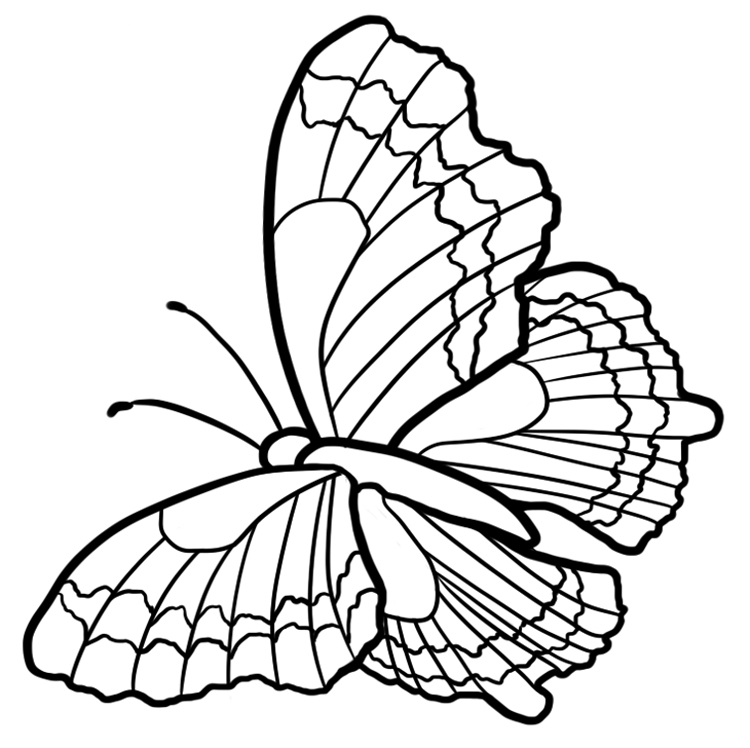 Dibujo de mariposa monarca para colorear